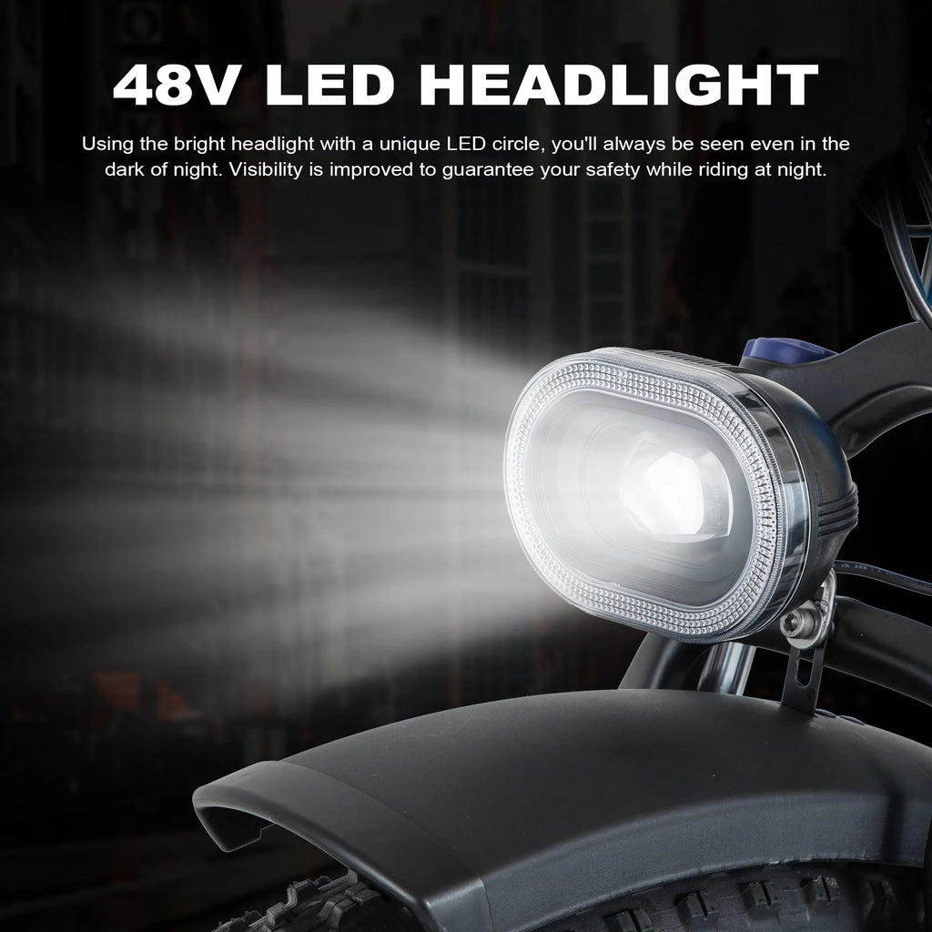 Electric Bike 26 Fat Tire 750W 48V W2235
