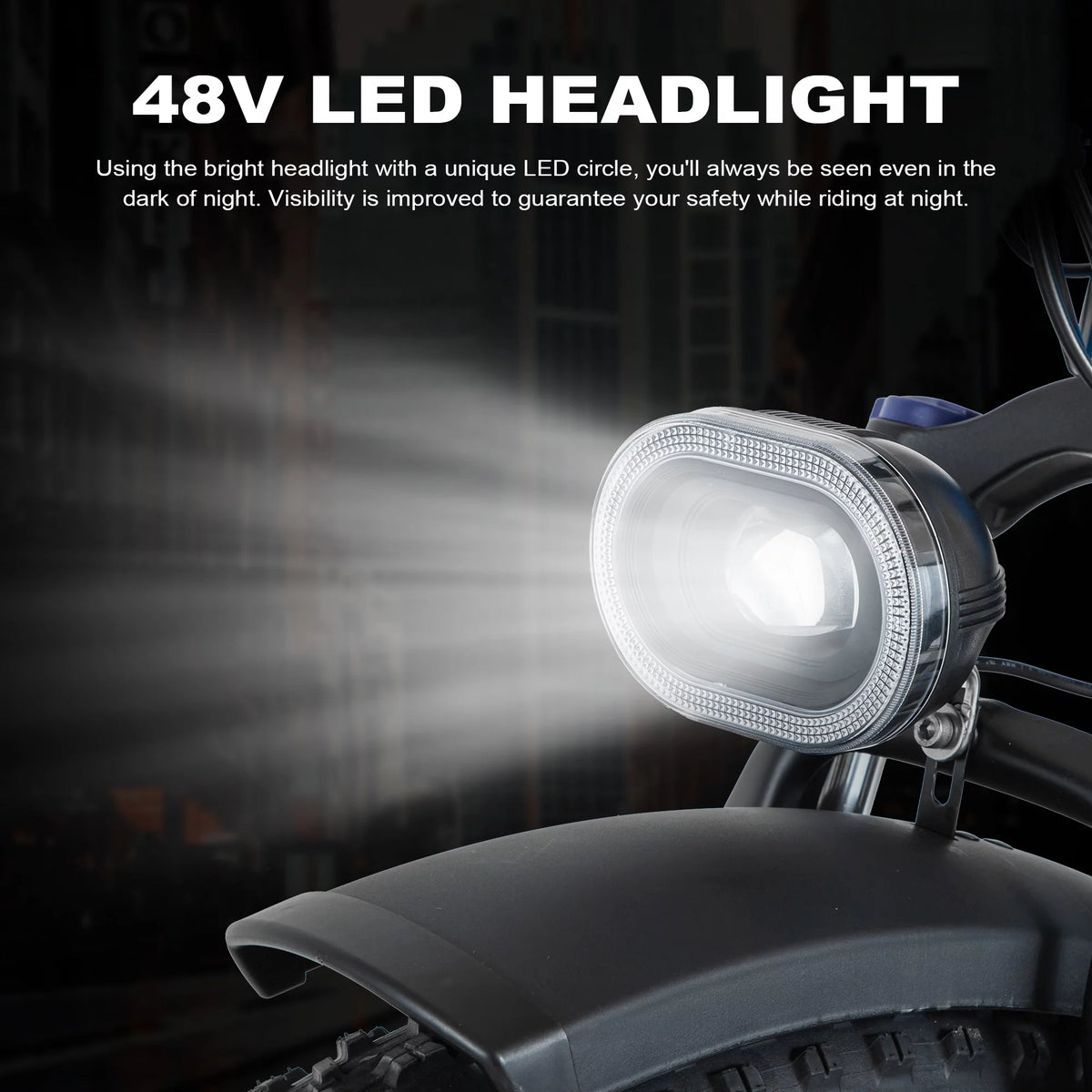 Electric Bike 26 Fat Tire 750W 48V W2235