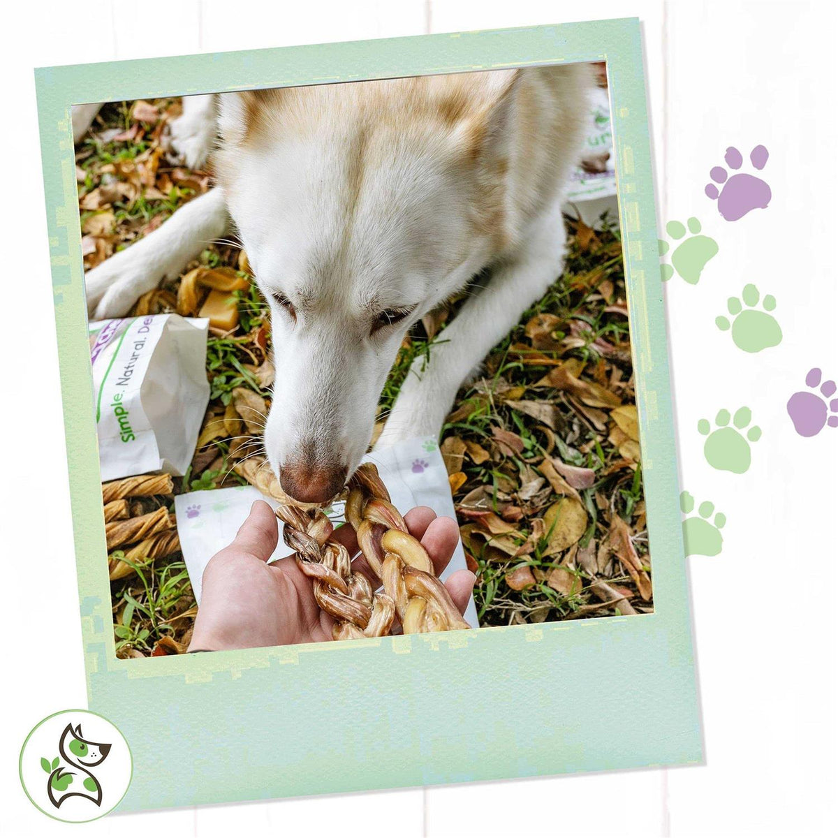 Braided Bully Sticks for Dogs Natural Beef Bones U262029