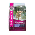 Dry Dog Food R445489