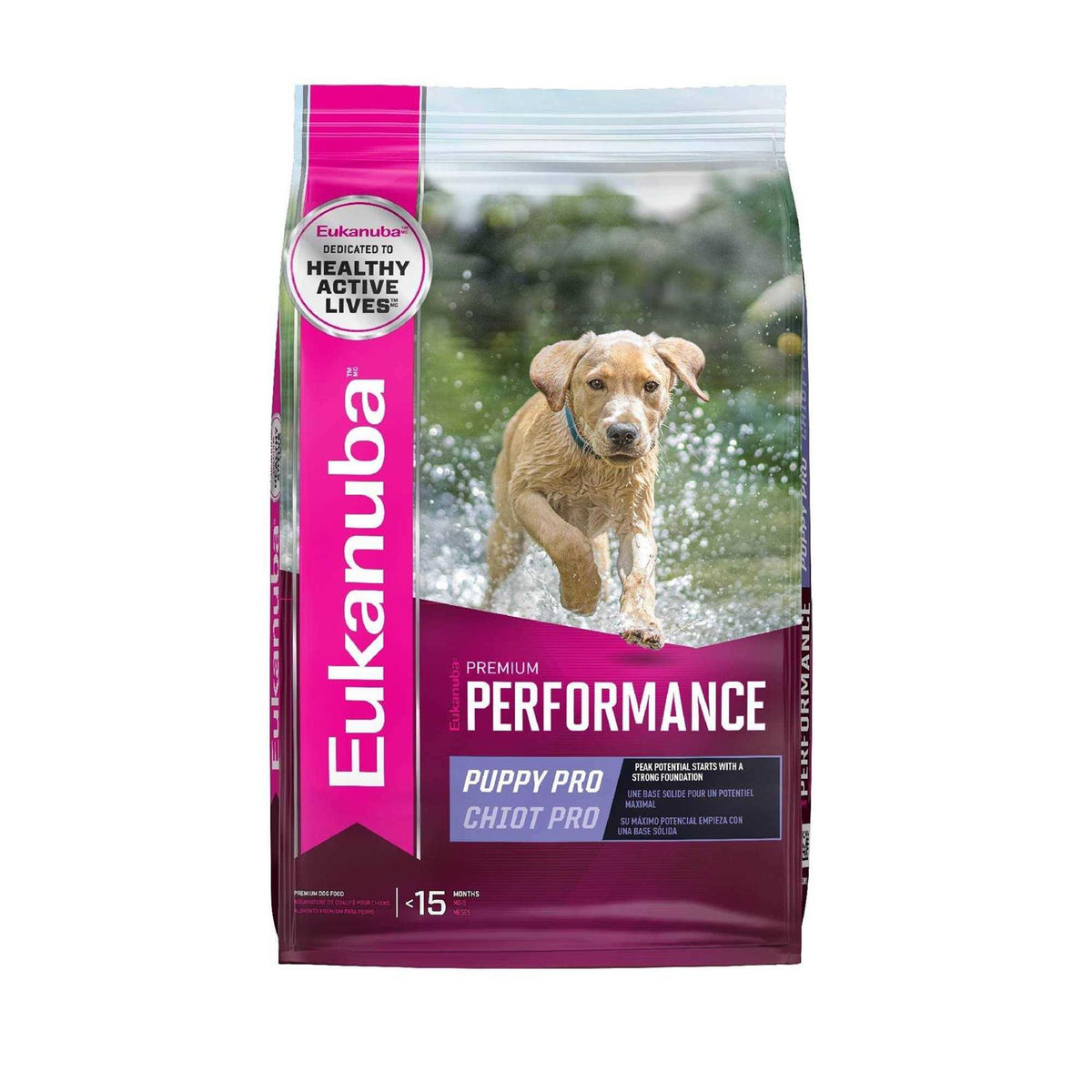 Dry Dog Food R445489