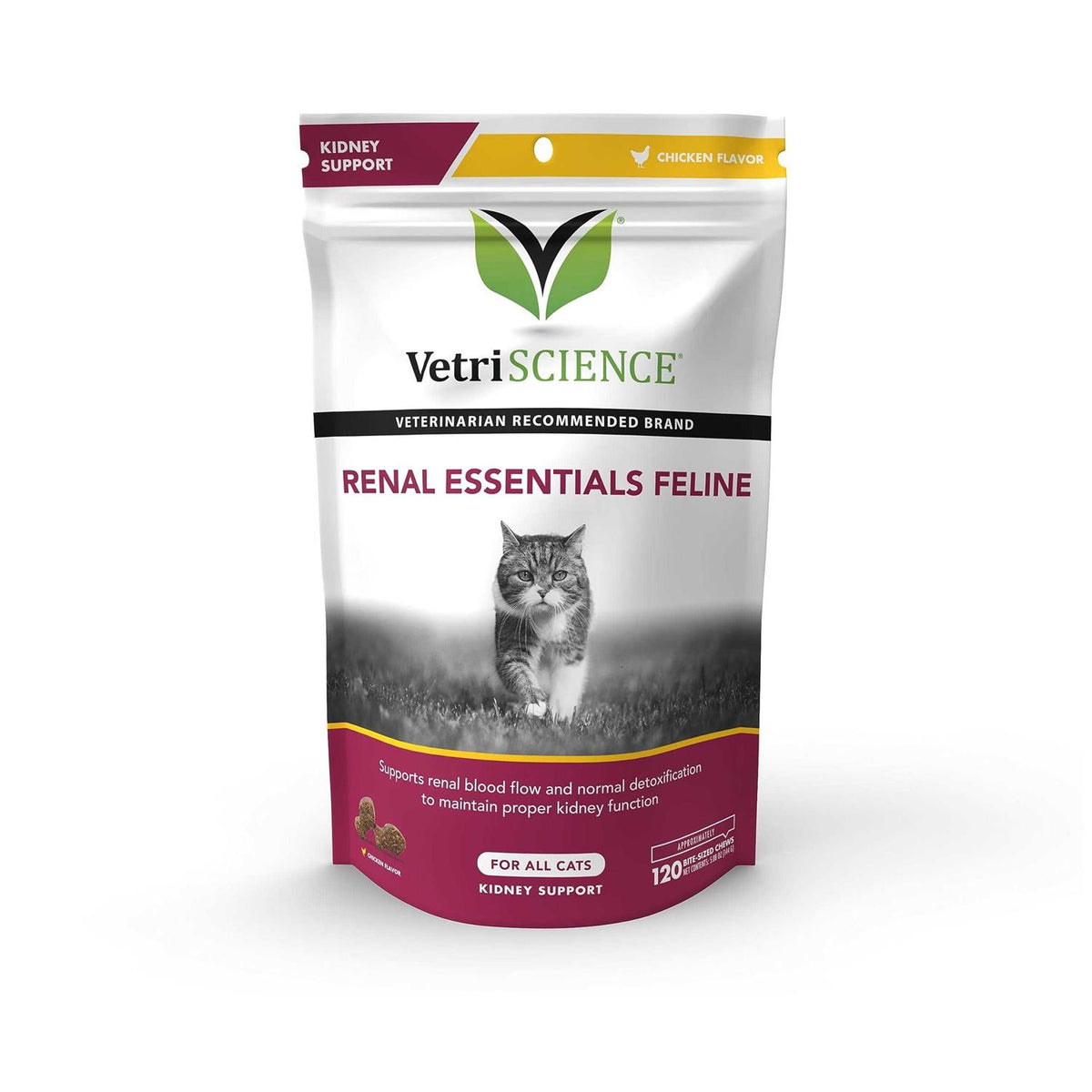 Renal Essentials Feline P4022