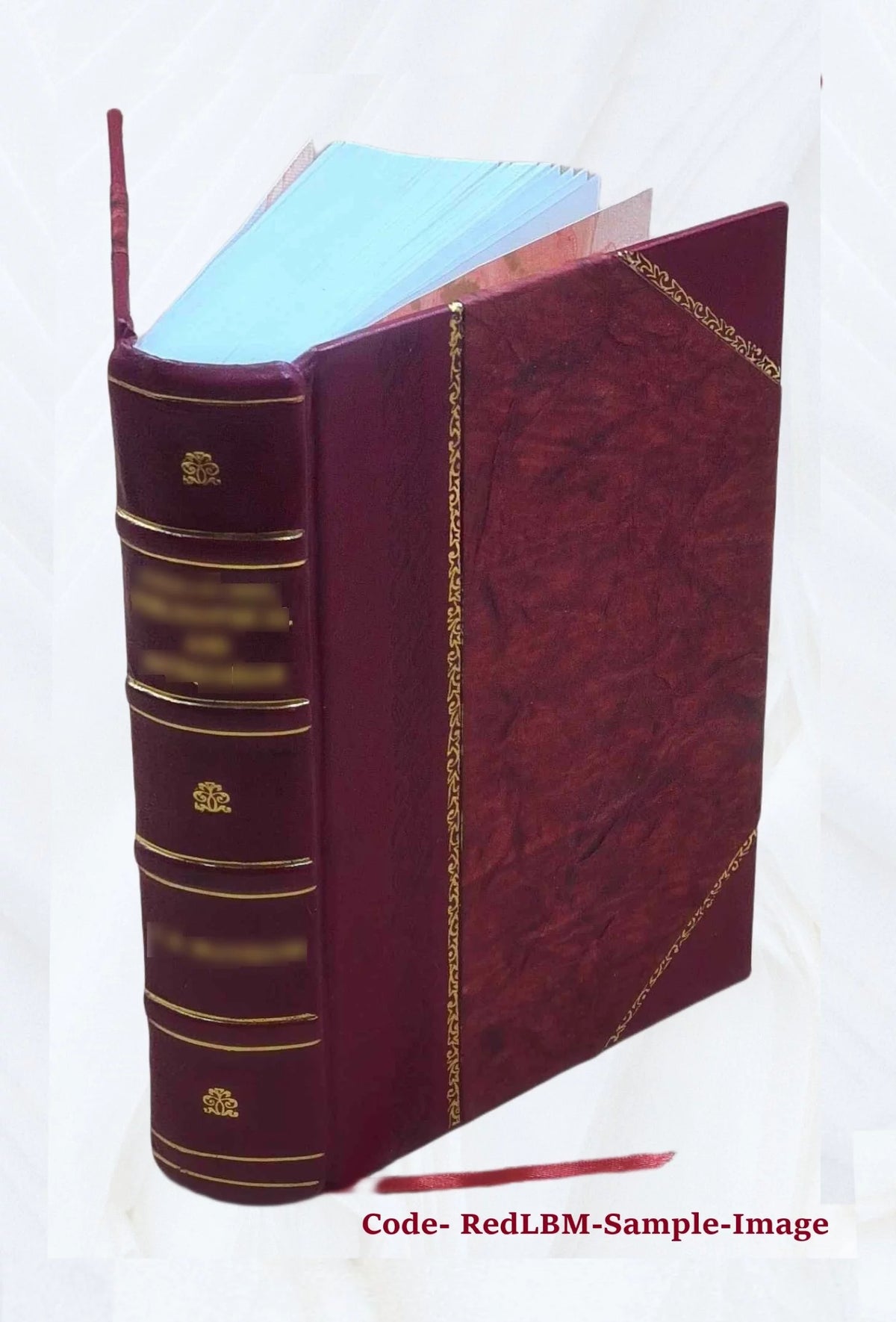 Leather Bound Q59509