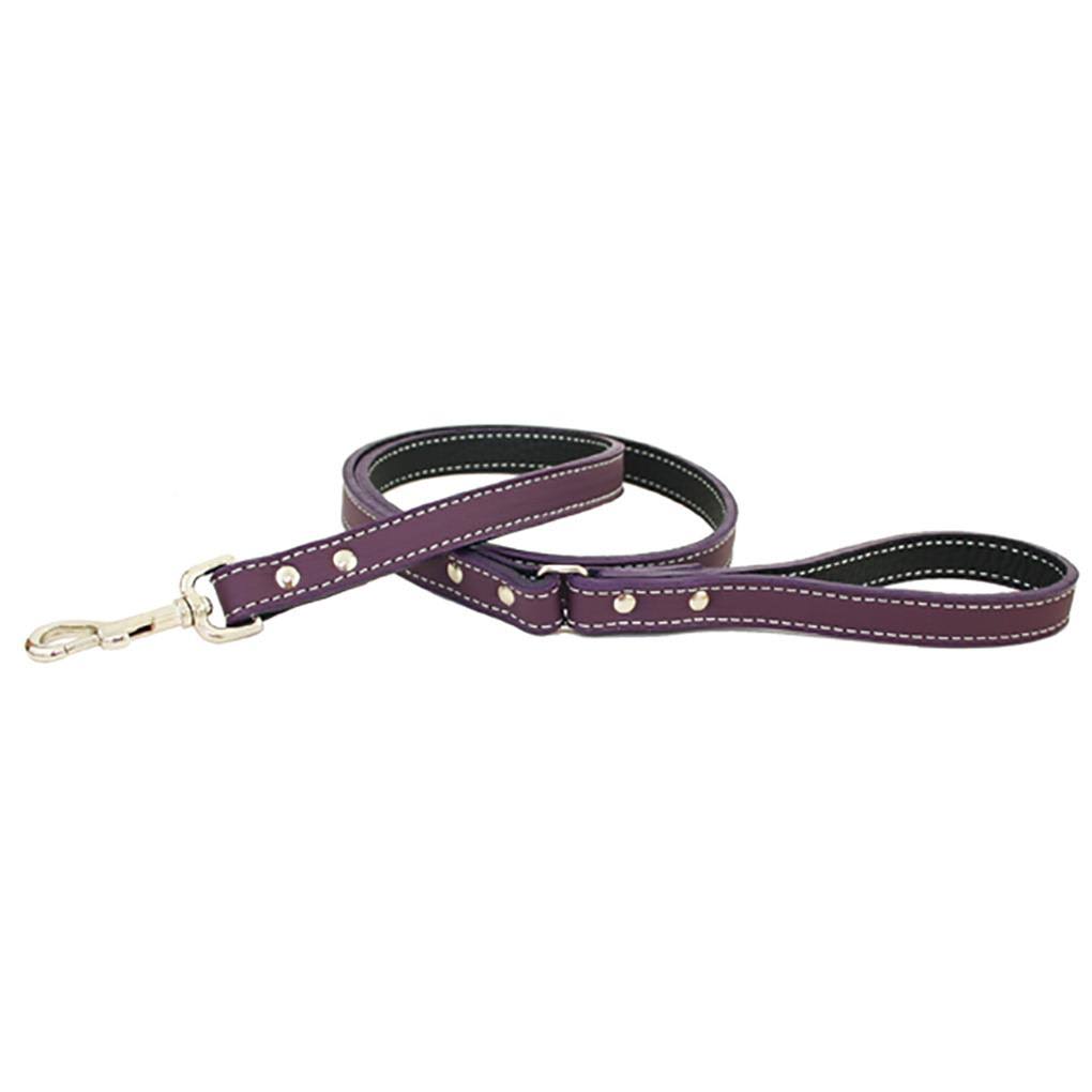 Purple Dog Leash H98260