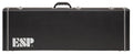 Guitar Case J16284