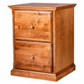 Traditional Two Drawer File Cabinet R674142