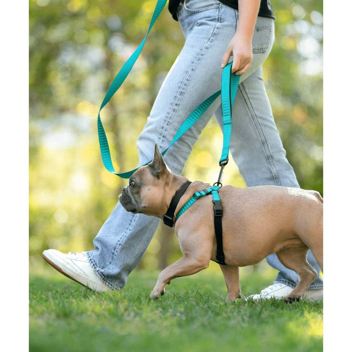 No-Pull Dog Harness A1752
