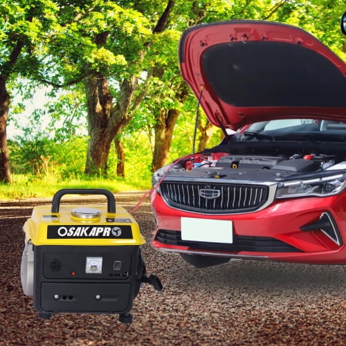 Outdoor Generator S923