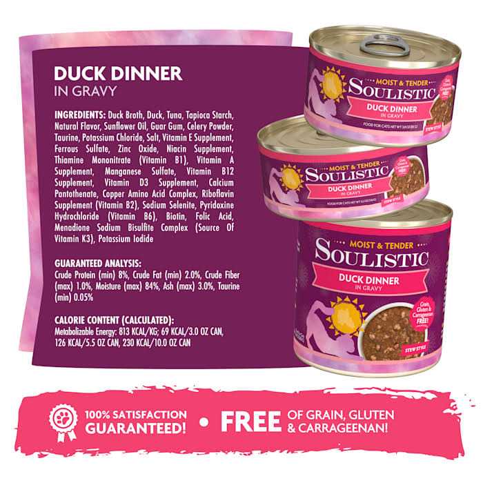 Wet Cat Food R6341
