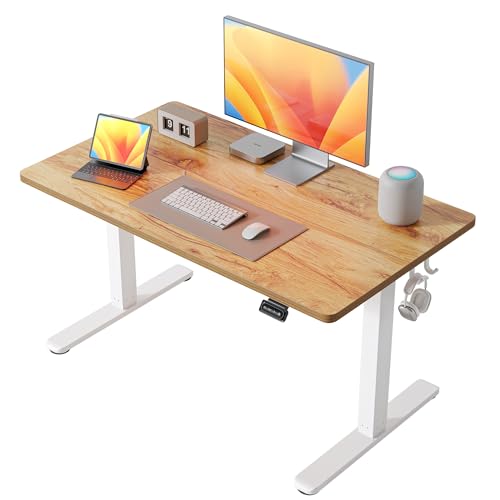 48 x 24 Inches Adjustable Height Electric Standing Desk with Drawer I1022