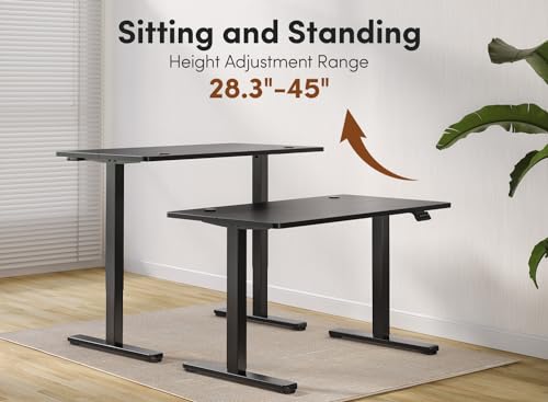 48 x 24 Inches Adjustable Height Electric Standing Desk with Drawer I1022
