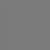 Pewter Satin Concrete & Wood Paint, Gallon E639074