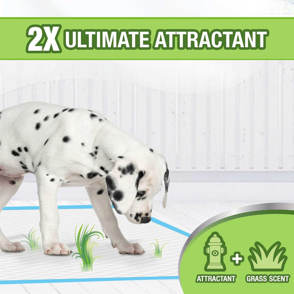 Scented Puppy Pads N6866