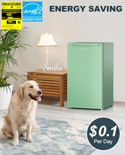 3.2 Cu.Ft Black Mini Fridge with Freezer S521