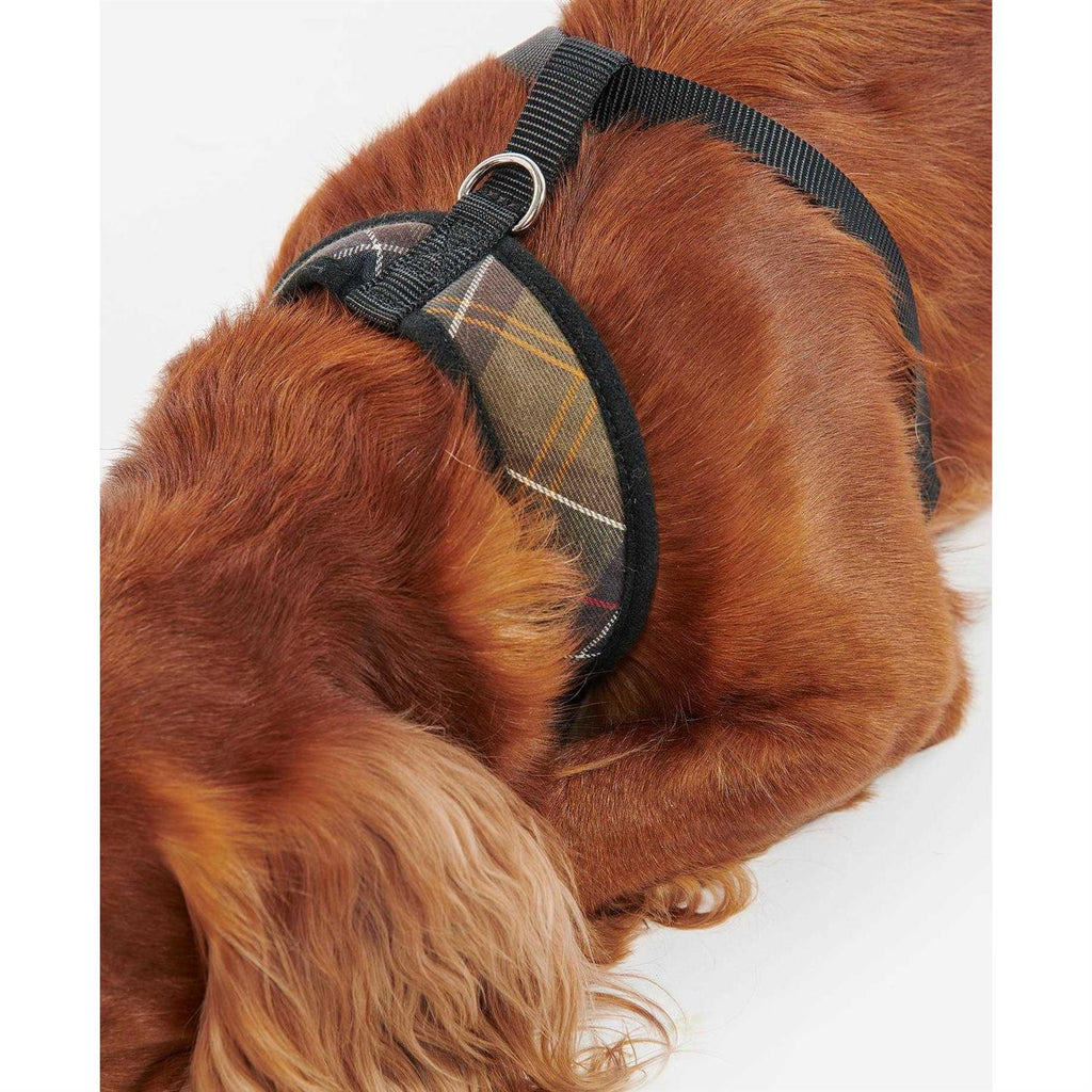 Tartan Dog Harness K523