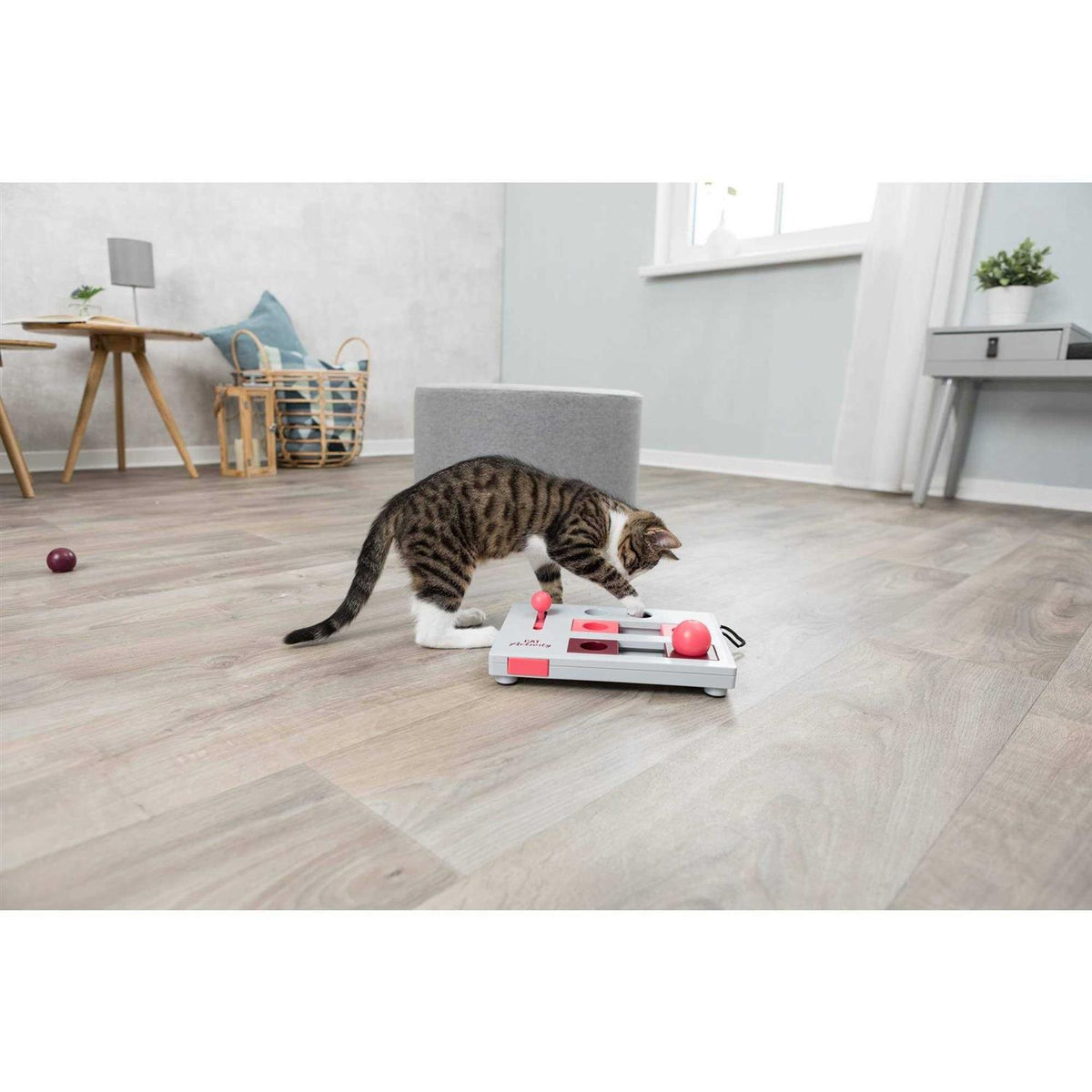 Blue & White Pet Supplies D871