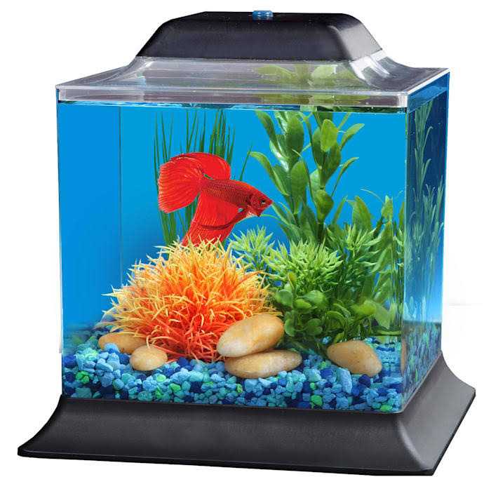 1.4 Gallon Betta Aquarium E404