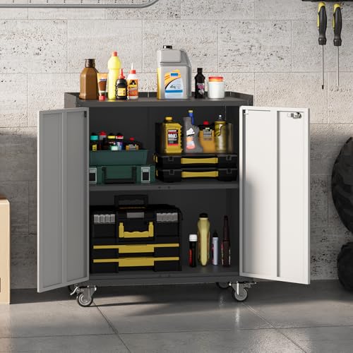 Locking Metal Cabinet with Door, Rolling Storage Cabinet with Shelves H444873