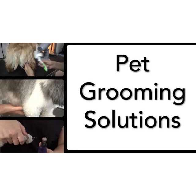 Pet Hair Clipper Kit O2649
