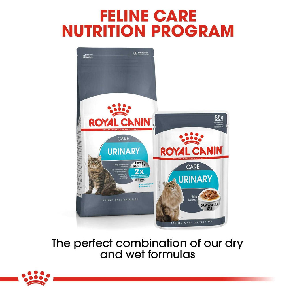 Wet Cat Food E15620