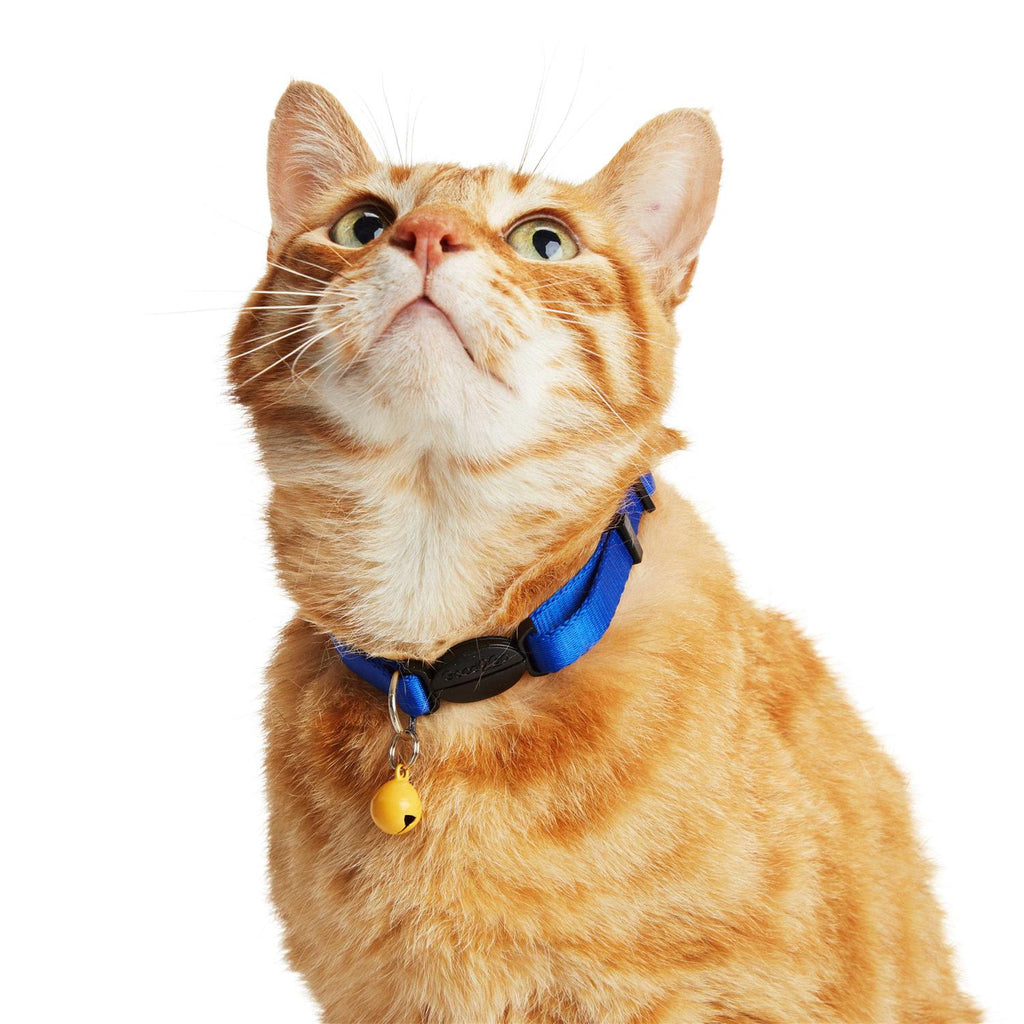 Colorful Bells Pet Supplies T2772