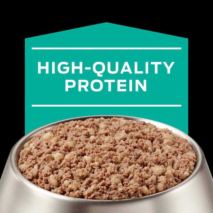 Gastroenteric Formula Canned Dog Food B578827