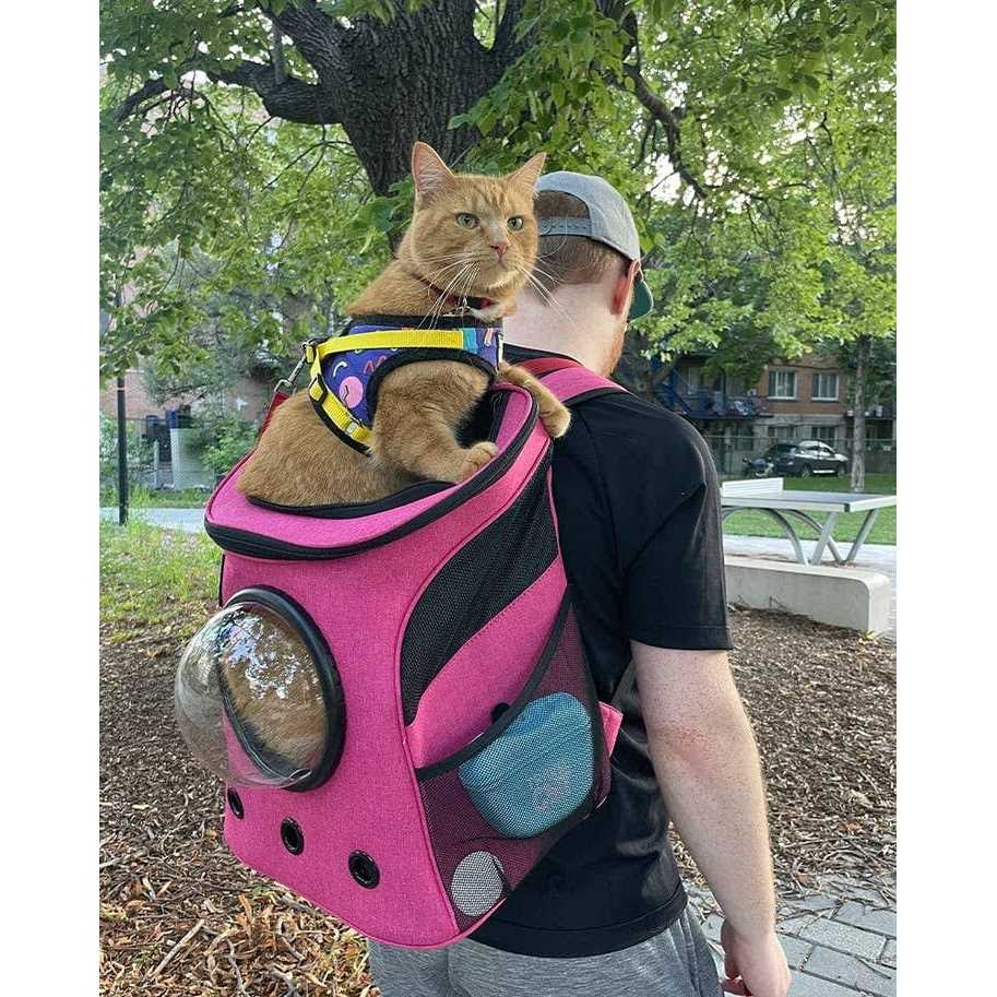 Cat Backpack L864989