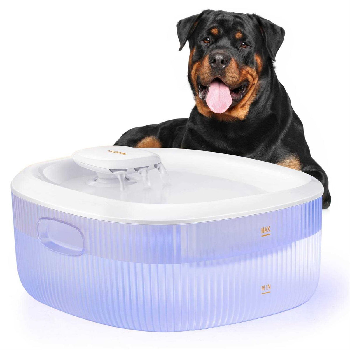 Dog Water Fountain S6201