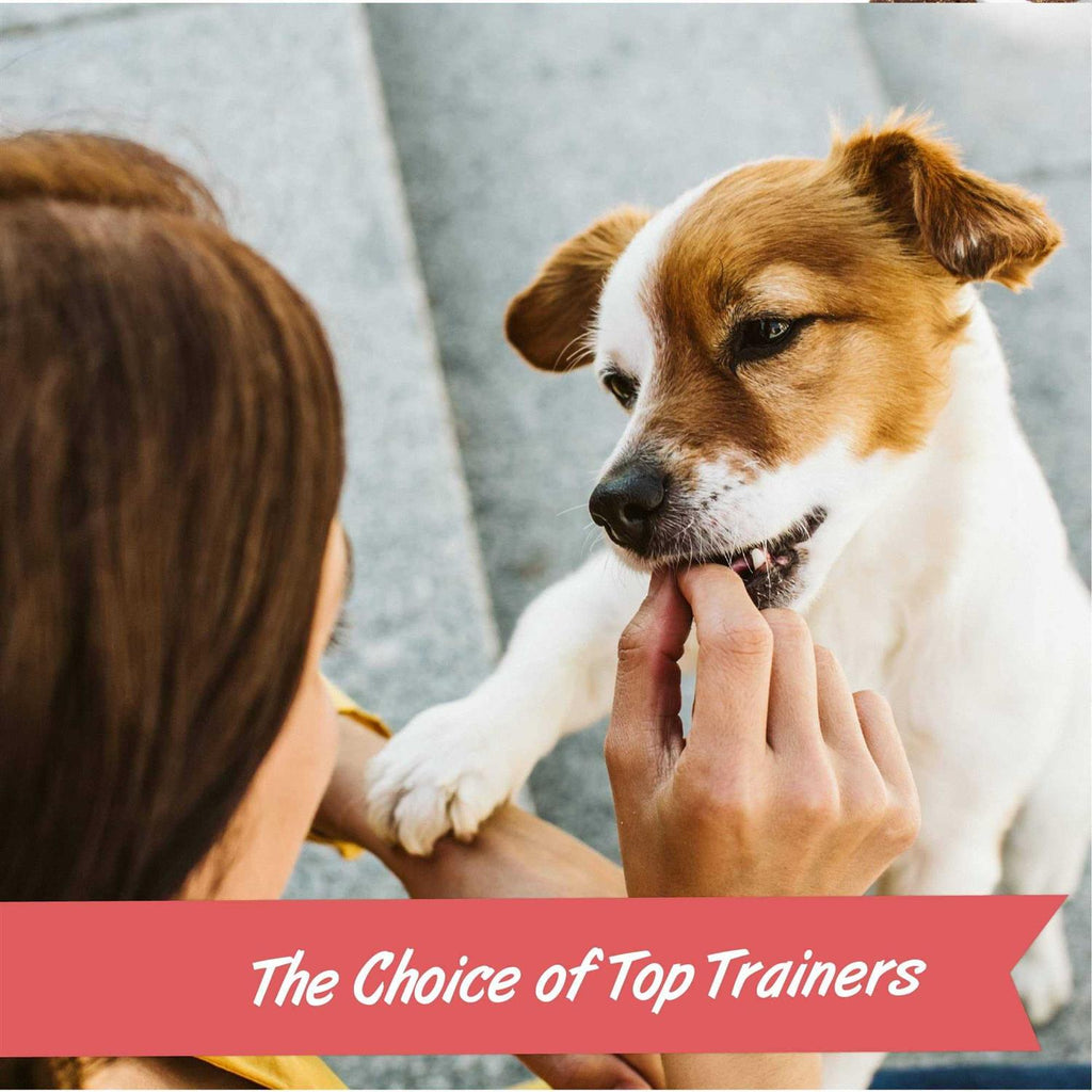 Training Rewards Dog Treats B773