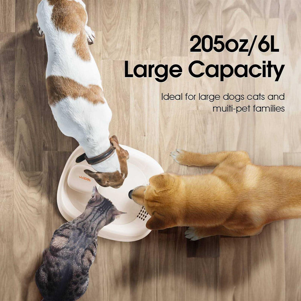 Dog Water Fountain S6201