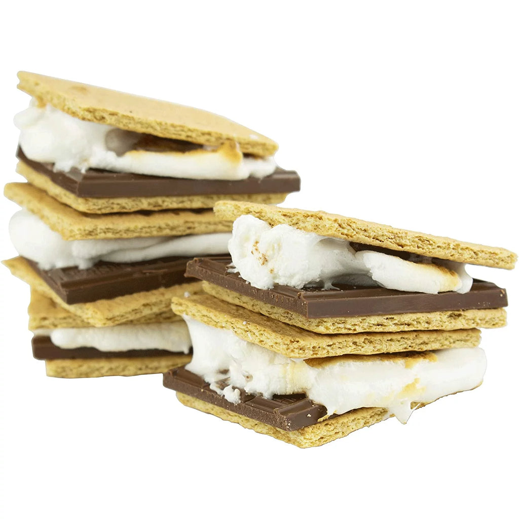 Indoor Stainless Steel Electric S’mores Maker with 4 Roasting Forks P444