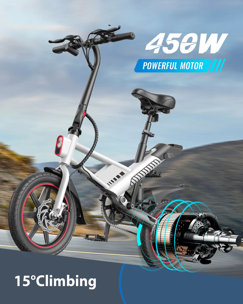 Folding Electric Bike with 36V 10.5AH Battery Q629