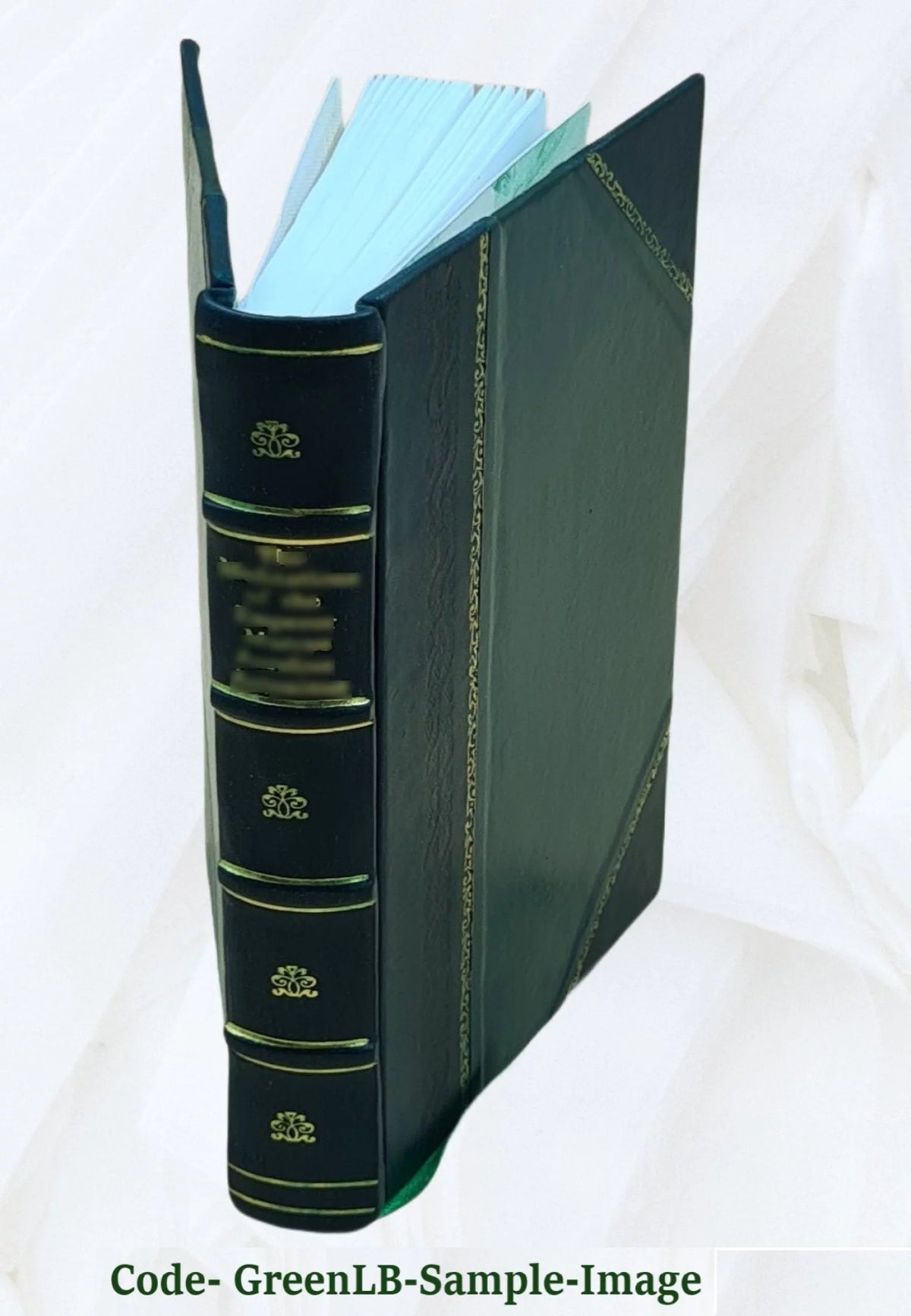 French Literature Leather Bound S1619